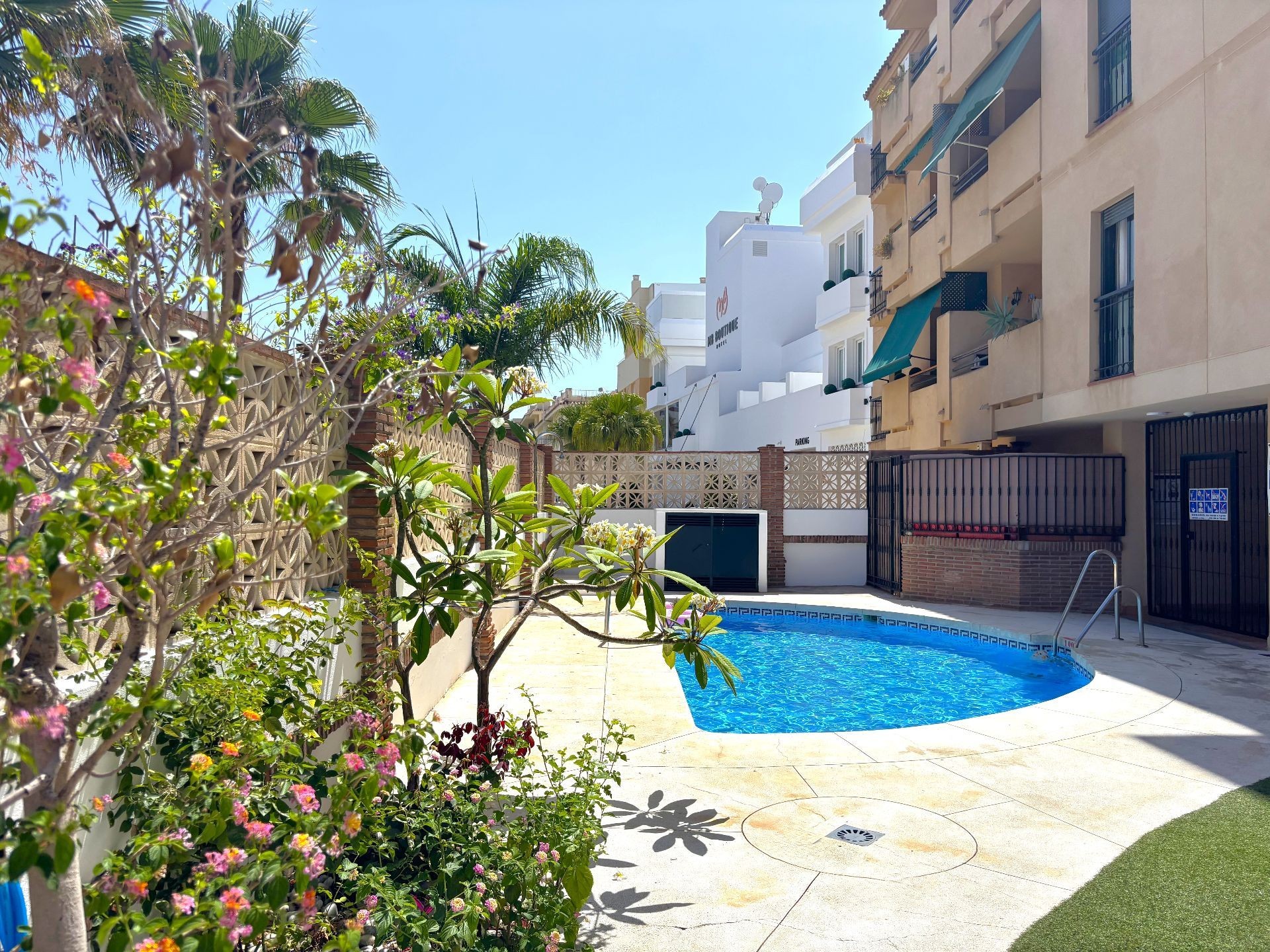 Outdoor communal pool surrounded by greenery