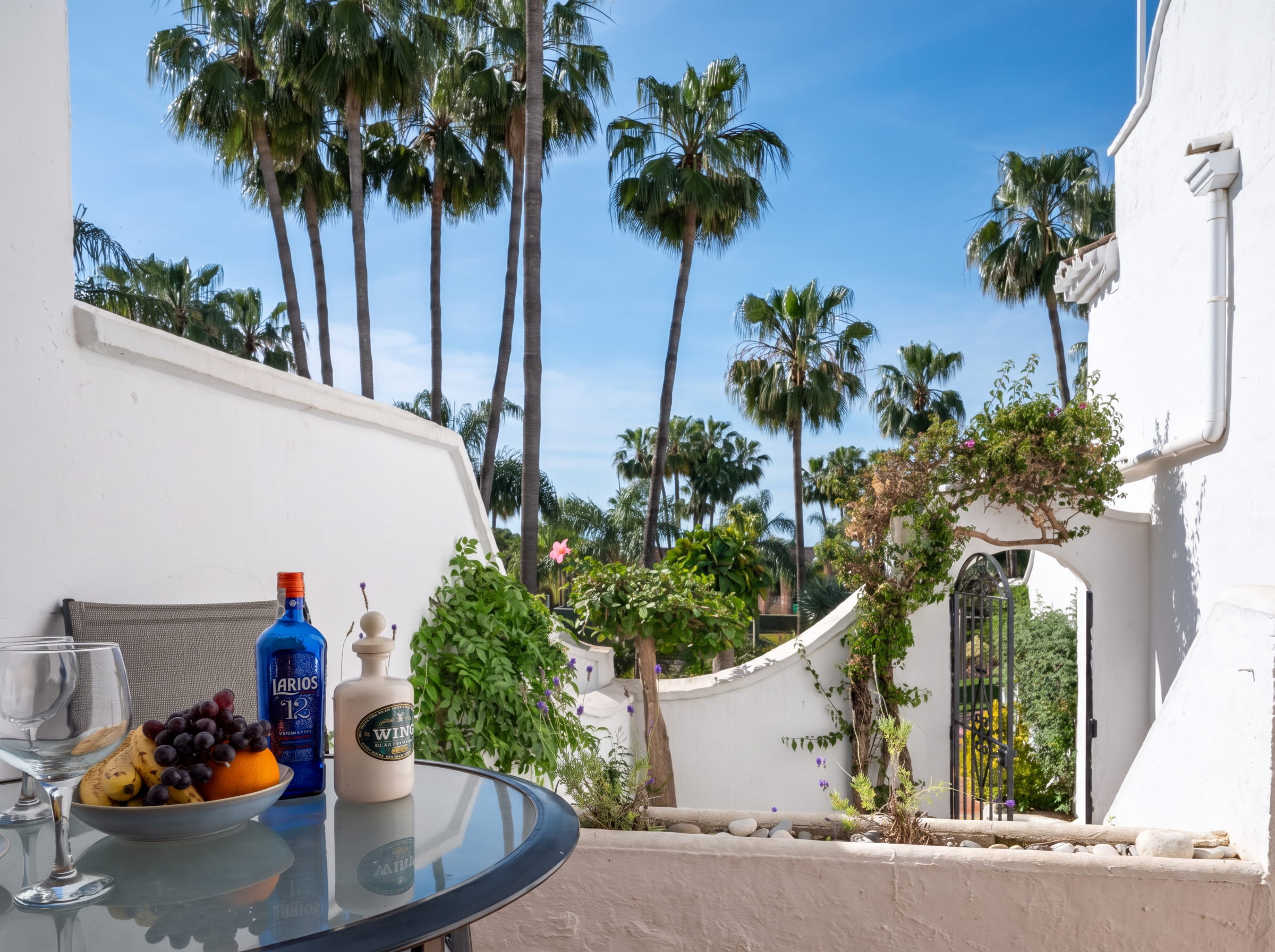 Terrace with palm views and outdoor table