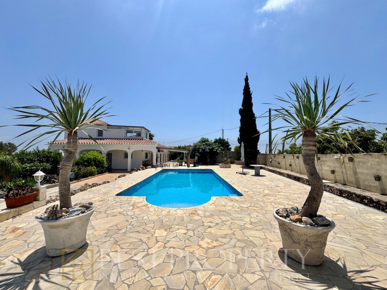 Front outdoor pool with palm trees and facade