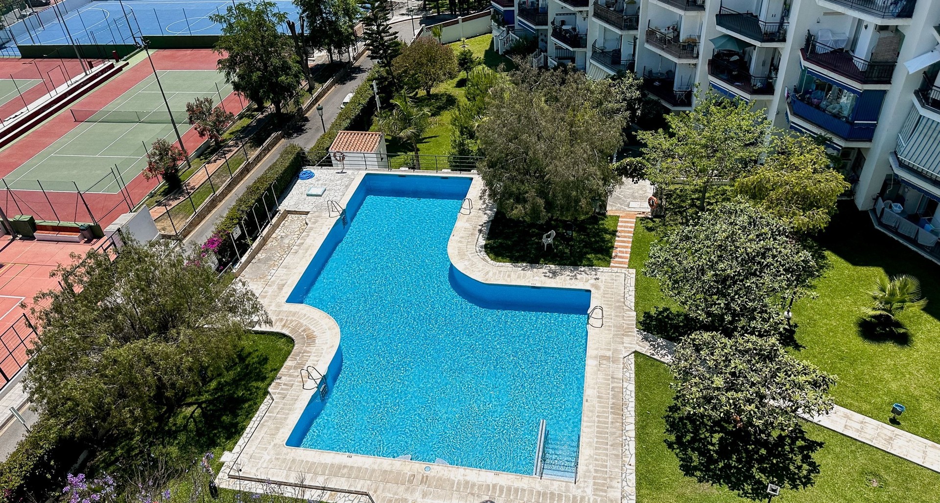 Community pool viewed from above