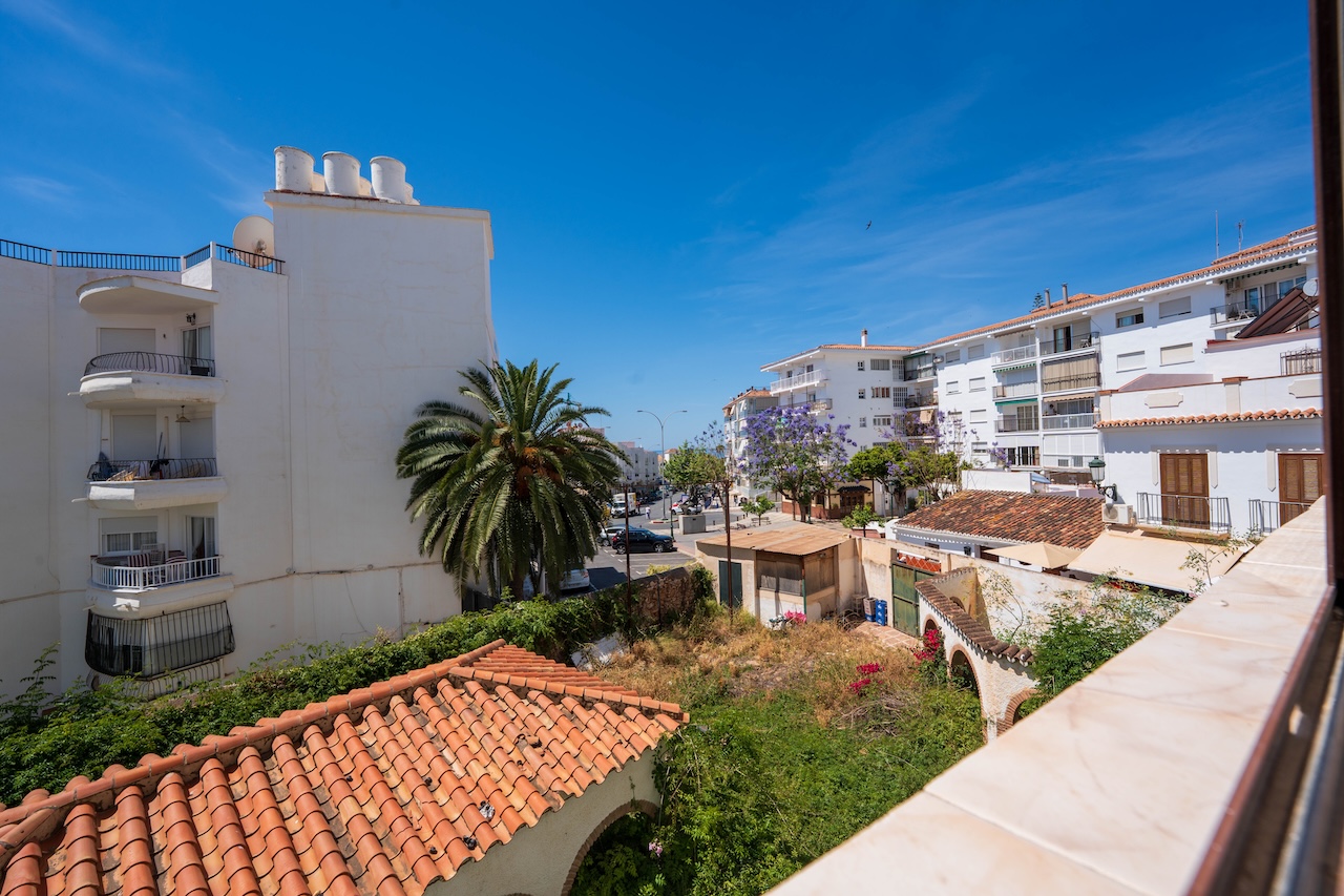 Urban views from terrace with palm tree and buildings