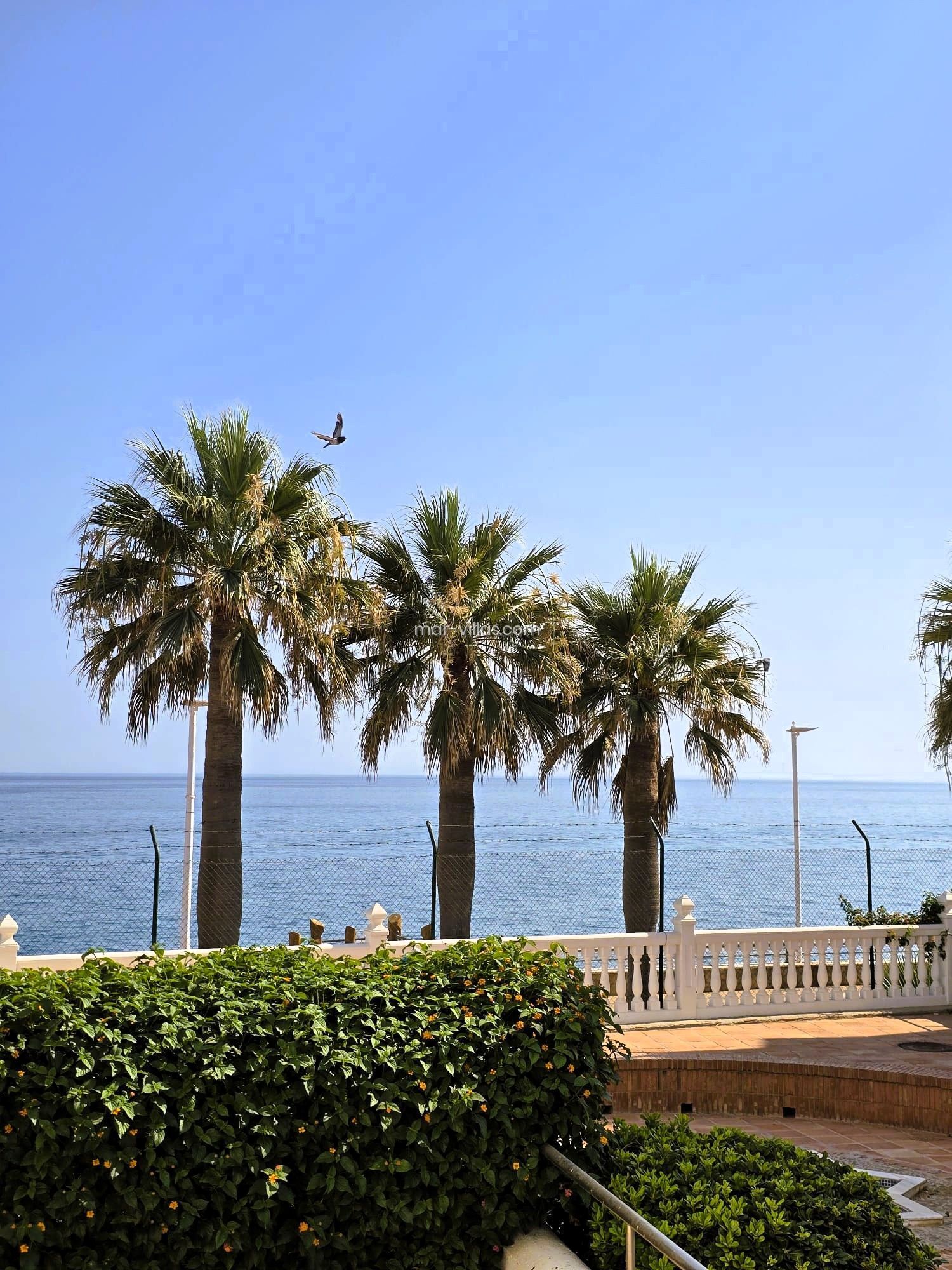 Frontline beach apartment Torrecilla, Nerja – photo 2