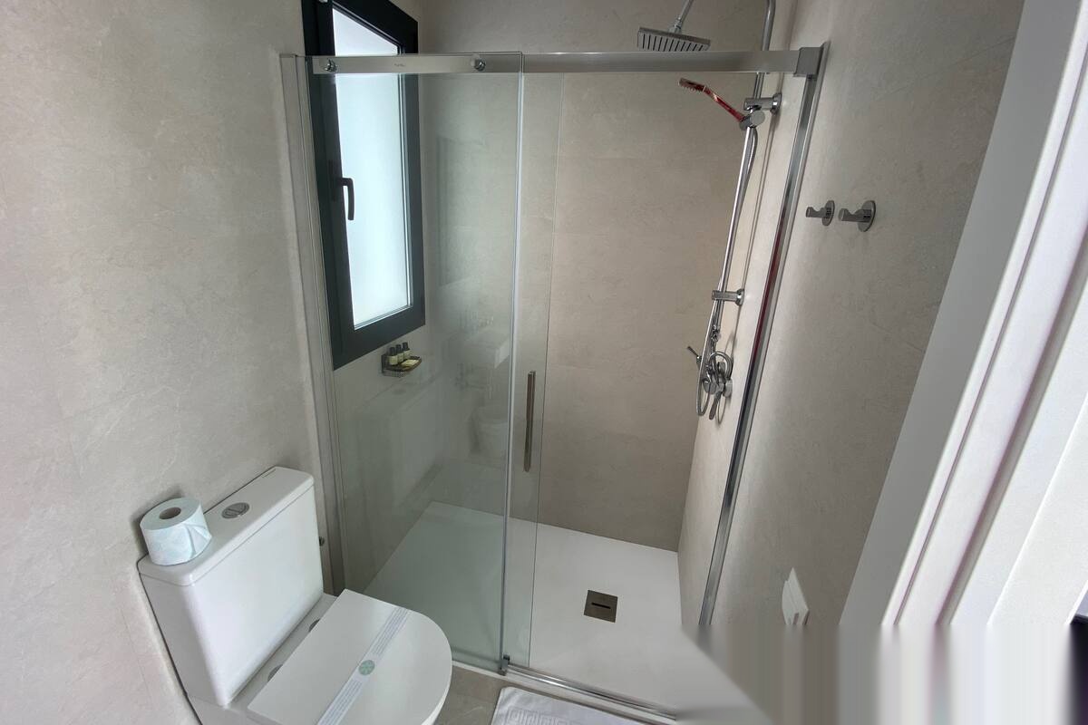 Modern shower with glass screen and toilet